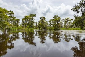 airboat adventure Louisiana bayou