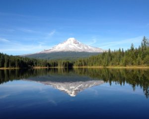 landscape mt hood trillium lake