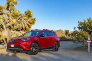 Red car with JDP Foto license plate parked at Blackrock Campground in Joshua Tree National Park