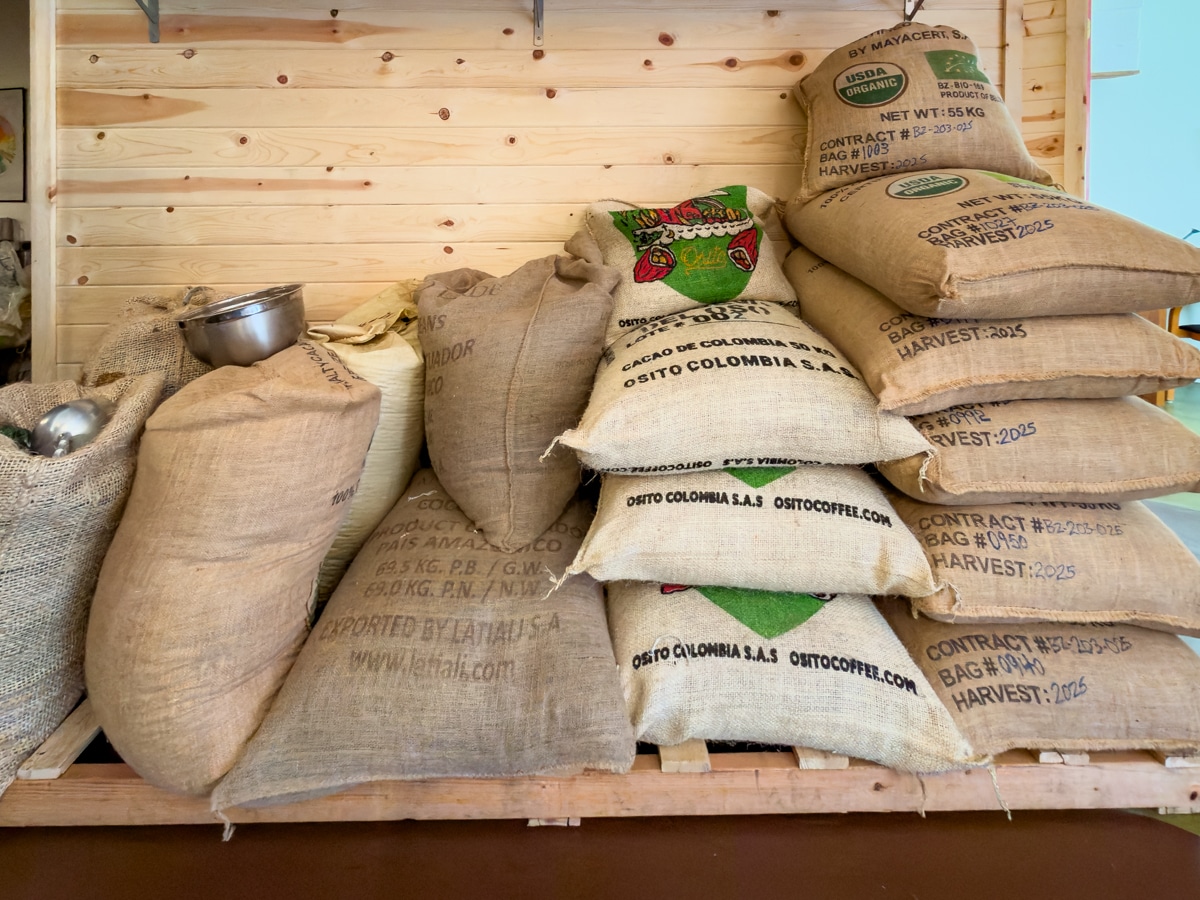 Imported cocoa beans at Seahorse Chocolate