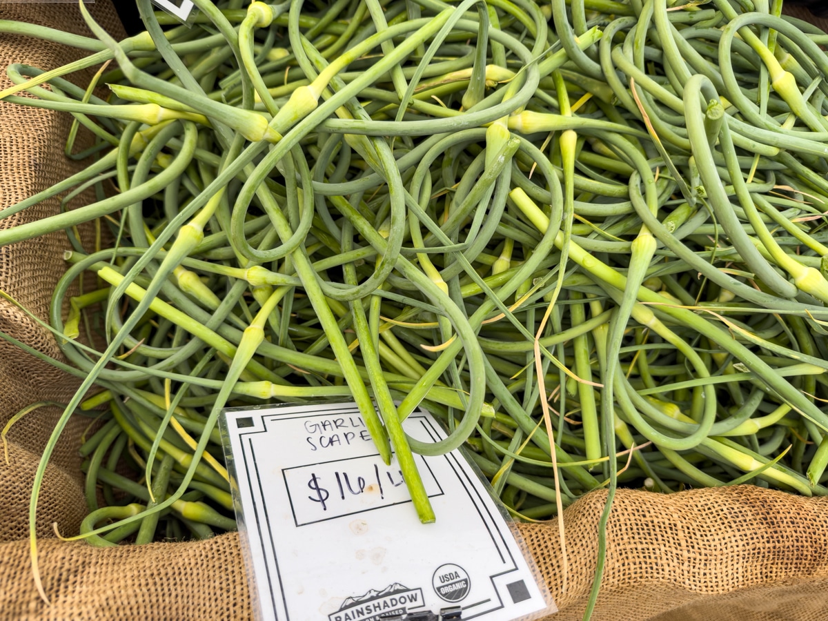 Garlic scapes at the Bend Farmers Market